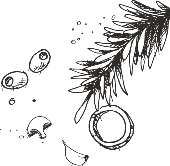 Partyservice Buffet Feiern Events in Haan - lecke Speisen